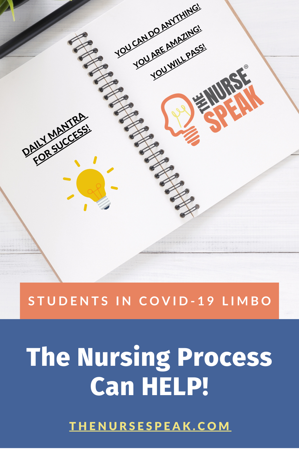 All Nursing Students in COVID-19 Limbo: The Nursing Process Can Help!